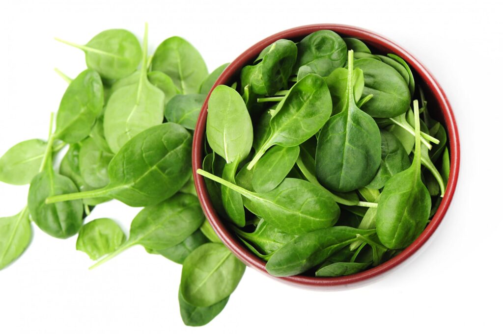 Fresh spinach leaves