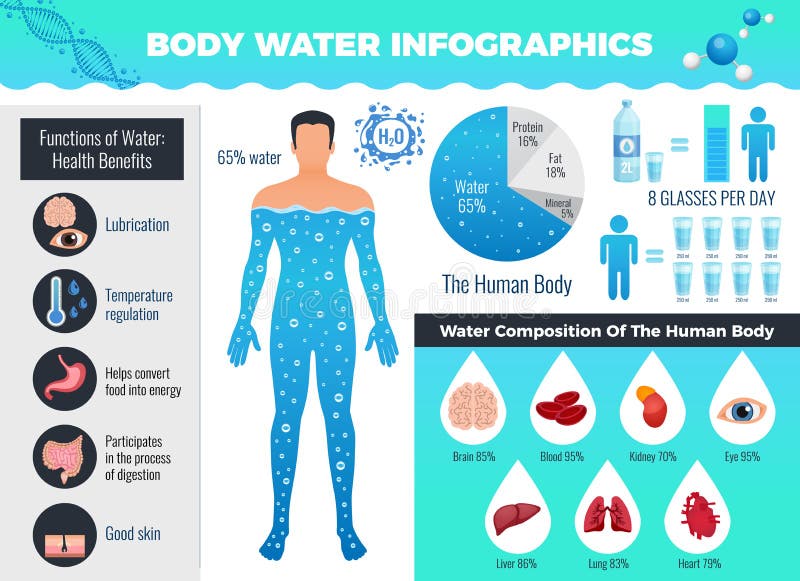Understanding Your Body's Hydration Needs During Heat