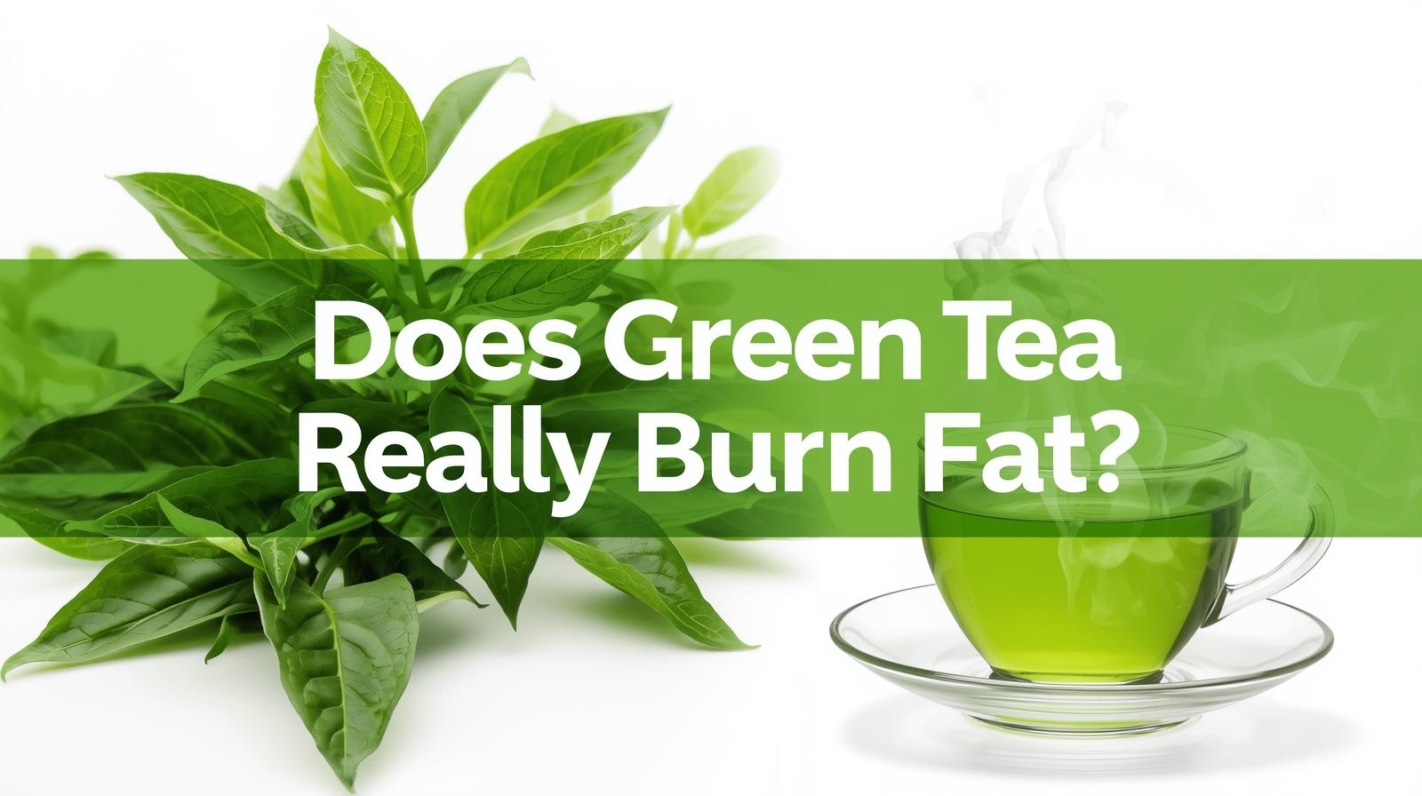 Does Green Tea Really Burn Fat